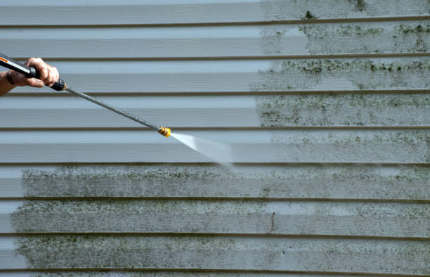 Best Garage Pressure Washing  in Wood River, IL