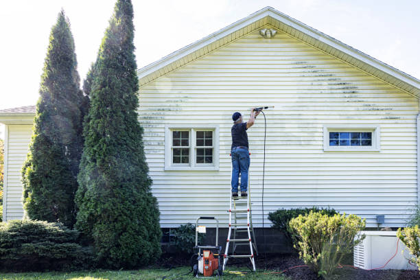 Best Local Pressure Washing Services  in Wood River, IL